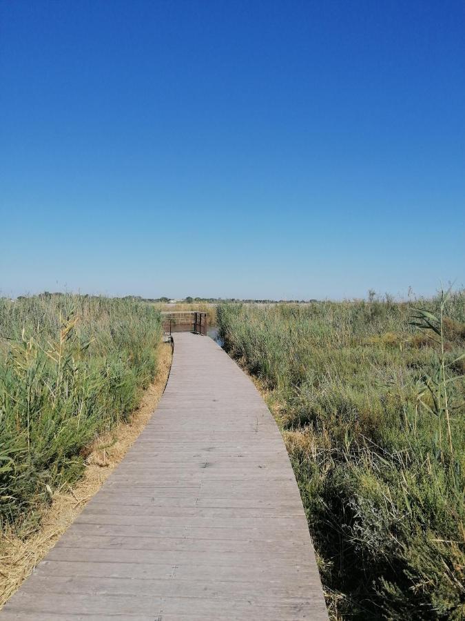 Marina A Aigues Mortes - Gard Luaran gambar